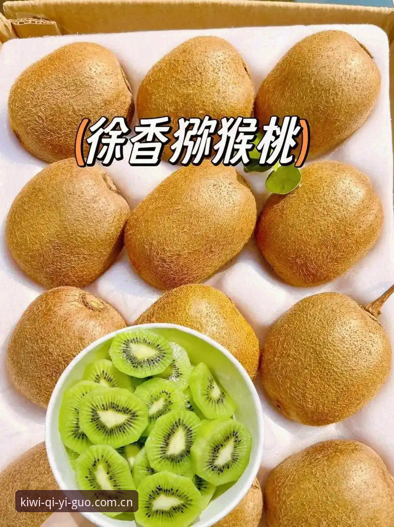 奇异果体育官网入口使用指南详解