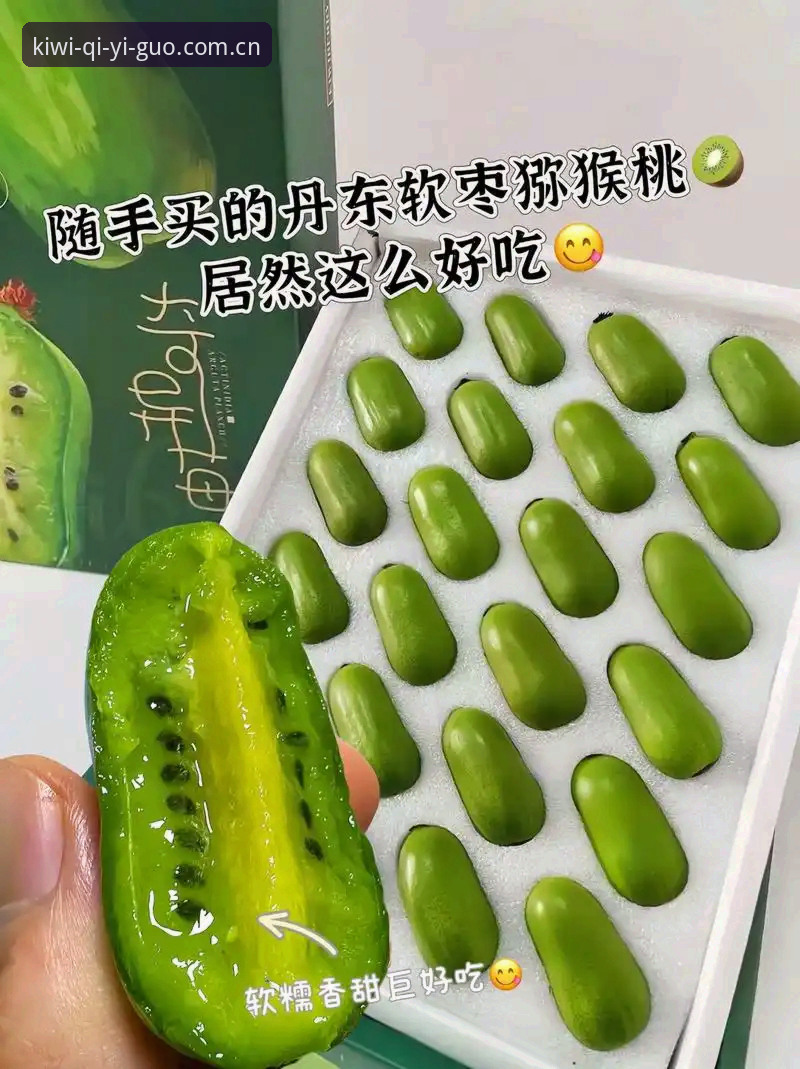 奇异果体育官网入口使用指南详解